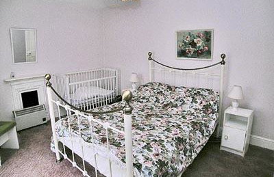 Tacker Street Cottage - Photo 5