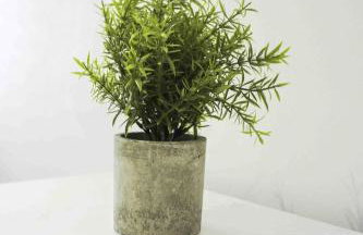 Strath Apartment - Foto 19