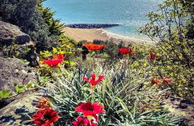 The Snug - for Eurotunnel, North Downs Way & Golfing - Foto 18