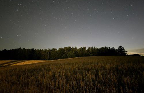 Poziomkowy Zakątek - Foto 26