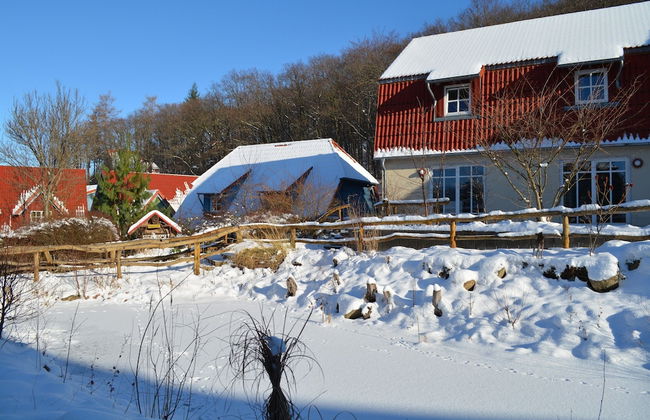 Holiday Home in Wernigerode With a Shared Pool - Foto 57