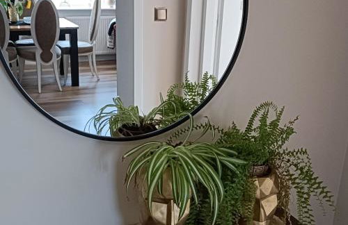 Apartamenty Holender House Choczewo 6 plaż w zasięgu - Foto 19