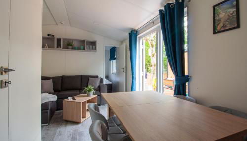 Iguana - Das Tiny Haus am Reptilienzoo Reptilium - Foto 3