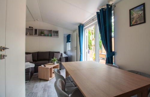 Iguana - Das Tiny Haus am Reptilienzoo Reptilium - Foto 3