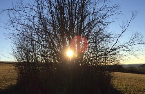 Ferienwohnung Kuckuck auf dem Sommerberg incl Schwarzwald Plus-Karte - 2 Zimmer 50qm - Foto 52