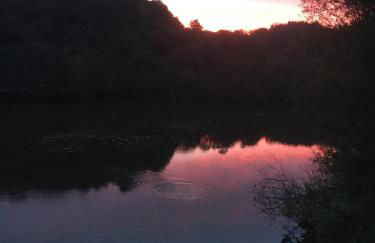 La Maison de Beauport - Photo 9