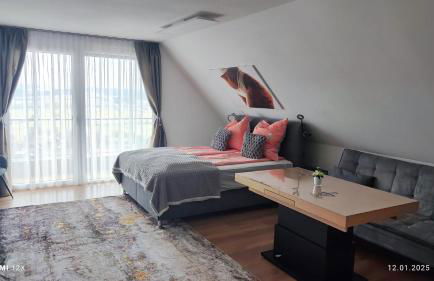 Schicke Ferien Wohnung mit tollem Ausblick in Schwarzwald. - Foto 8