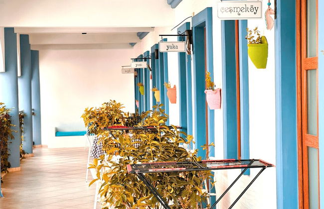 Tas Apart - Photo 53