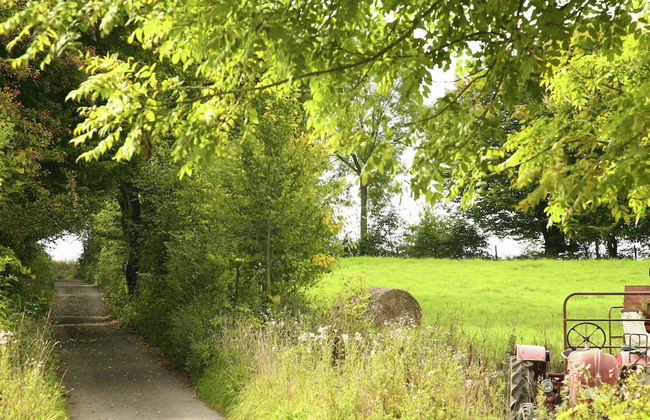 Holiday Home in Durbuy With Garden - Foto 21