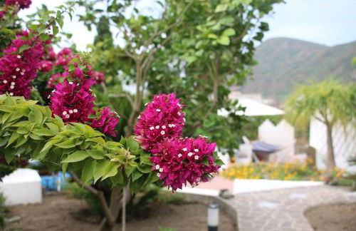 Casa Pompelmo - Foto 53