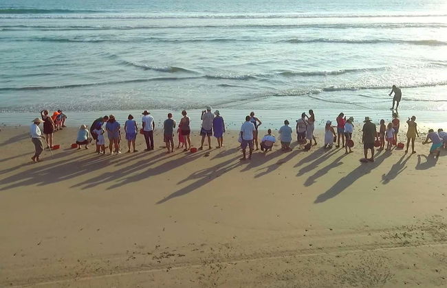 Ixtapa Zihuatanejo Sea Turtle Release - Photo 6