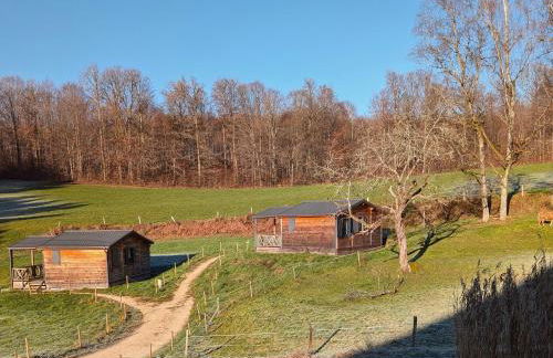 Chalet détente avec Spa et animaux admis près de Plombières-les-Bains - FR-1-583-498 - Foto 16