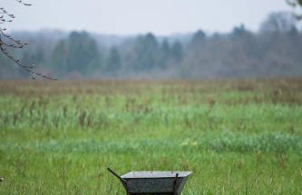 Luxury Shepherd's Hut - The Hyde - Photo 9