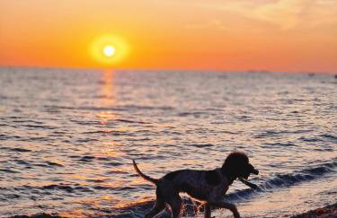 Holiday home Smokvin Hlad - Photo 39