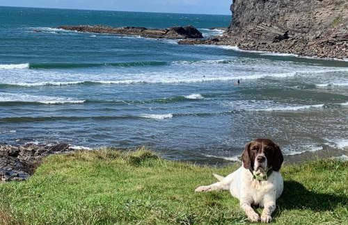 1 Bed-pet Friendly-parking-patio-close to Coasts - Foto 41