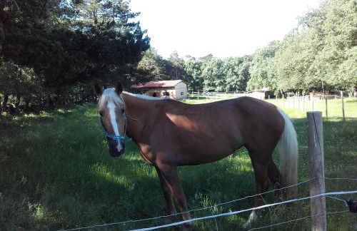 Eco Urbión - Foto 49