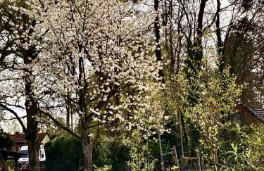 Lütt Heidjer Hus - Foto 19