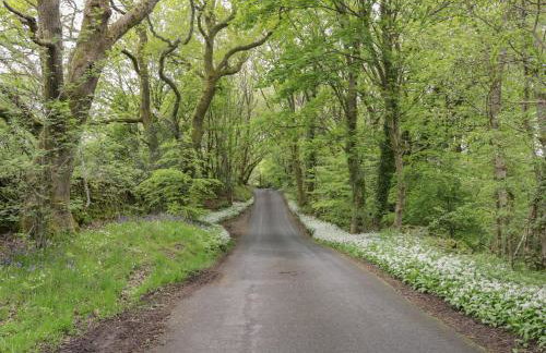 Mollys Pantry - Foto 25