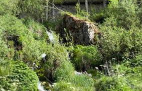 El Hoyaco - Photo 43