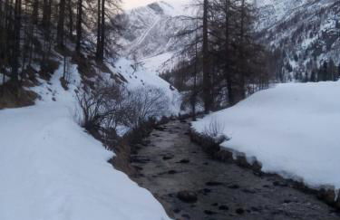 Mont Blanc - Foto 27