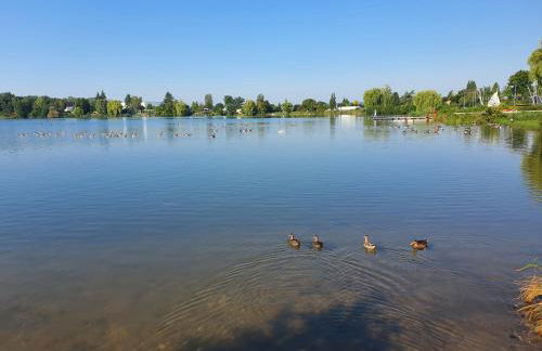 Ferienhaus Am See - Photo 45