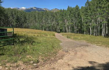 Camp Jackson Lodge - Foto 20