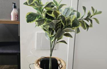 Studio Moderno Metrô Butantã - MorumBis - USP - Pinheiros - Foto 51