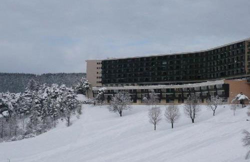 Grand Studio VILLARD DE LANS Les Glovettes - Foto 1