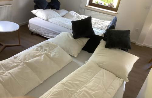 Berg Blick Eifler Bauernhaus modern restauriert - Photo 21