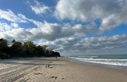 Let's Sea SPA - Premium Apartamenty z ogródkiem, przyjazne zwierzętom - Foto 60