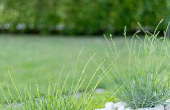 Apartment Fiorella - Foto 55