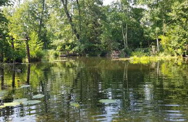 Altes Fischerhaus Zehdenick - Ferienhaus an der Havel - Foto 48