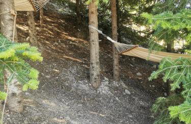 Dendrocopos Medius - Photo 22