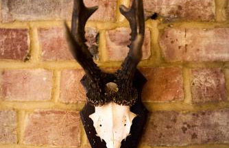 Nature Charm & Fruit Delights, multi-generation celebratory home -Try, Relax, Repeat - Sellindge - Foto 28