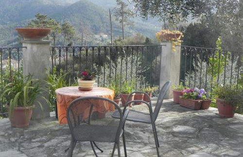 azienda agricola zulin casa elena - Foto 27