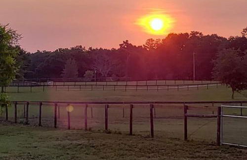 Little Ridge Ranch-East House Quiet Country Getaway-Pet Friendly! - Foto 23