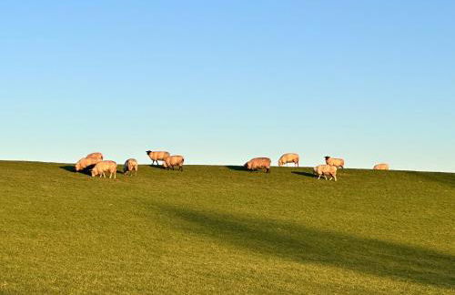 Reetdachkate am Deich - Photo 29