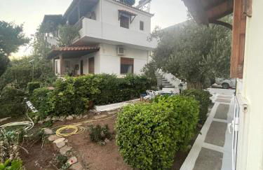 Tiki Rooms - Foto 78