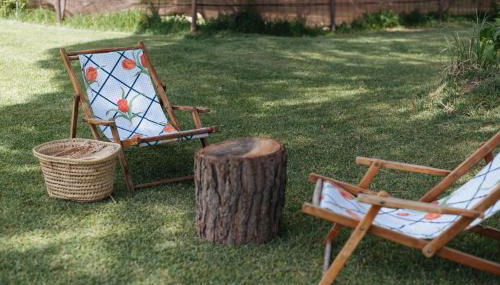 La casita de Hato Pinos, un rincón en Doñana - Foto 5