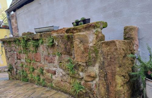 Haus Ziegenblick - Foto 8