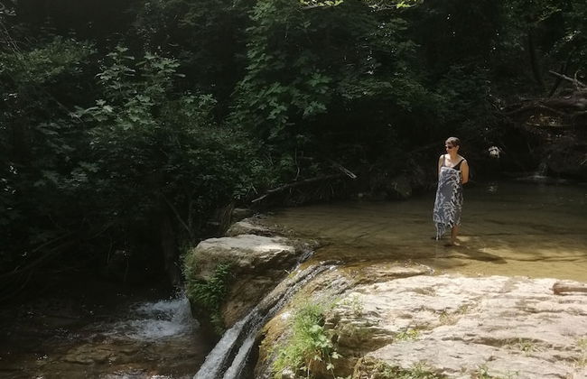 Agriturismo Arcera - Foto 28