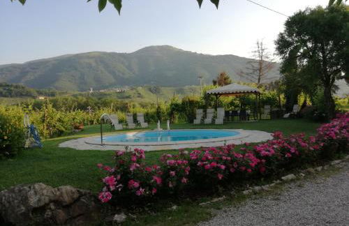 Azienda Agricola Campion - Foto 9