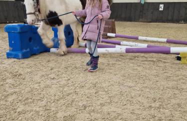Schöne Wohnung Kleiner Onkel auf idyllischem Reiterhof nahe Burg Eltz - Foto 22