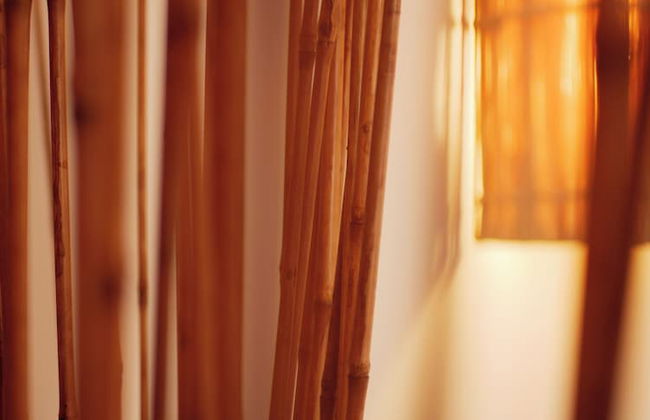 Coco Soley - Photo 6