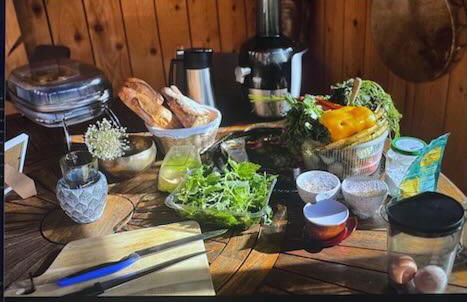 O et Terre, gite ressourcement bains spa cryo sauna et foret - Foto 34