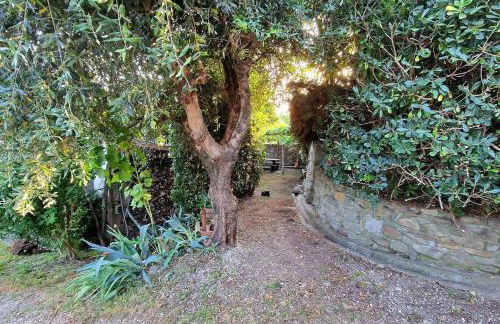 Villa Pacinotti - Foto 15