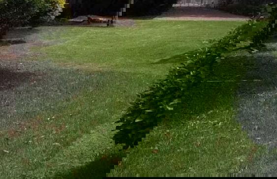 Corlett 330 - Foto 12