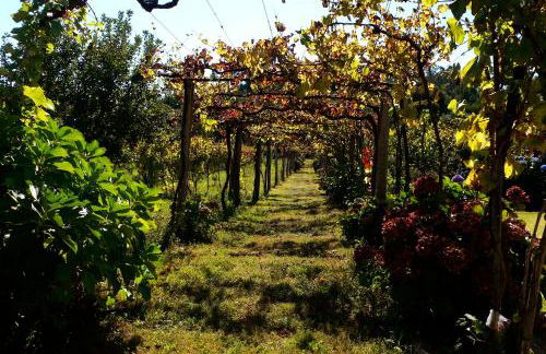 Casa do Tamanqueiro - Foto 29