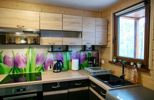 Domek całoroczny SÓWKA na Kaszubach z banią i sauną na wyłączność, wspólny basen i bilard z domkiem Jeleniówka - Ostrowite Leśna Dolina - Foto 50