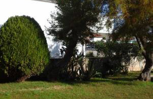 Apartment Benjamin - Photo 13